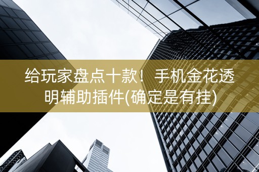 给玩家盘点十款！手机金花透明辅助插件(确定是有挂)