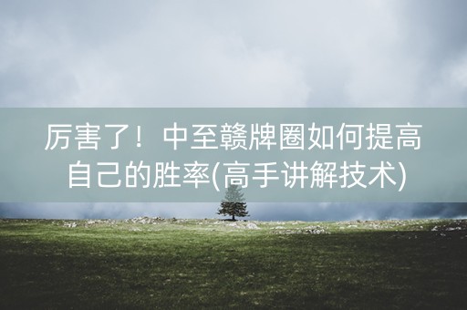 厉害了！中至赣牌圈如何提高自己的胜率(高手讲解技术)