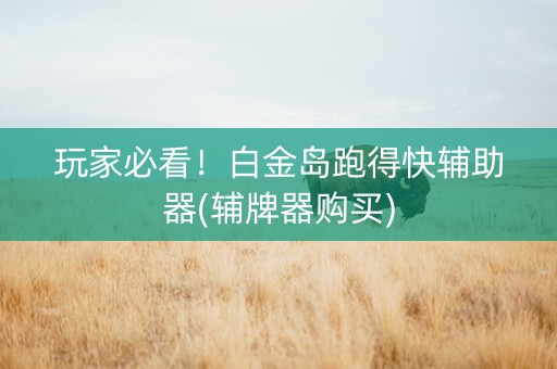 玩家必看！白金岛跑得快辅助器(辅牌器购买)