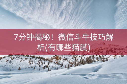 7分钟揭秘！微信斗牛技巧解析(有哪些猫腻)