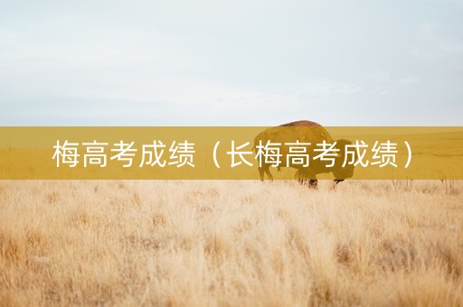 梅高考成绩（长梅高考成绩）