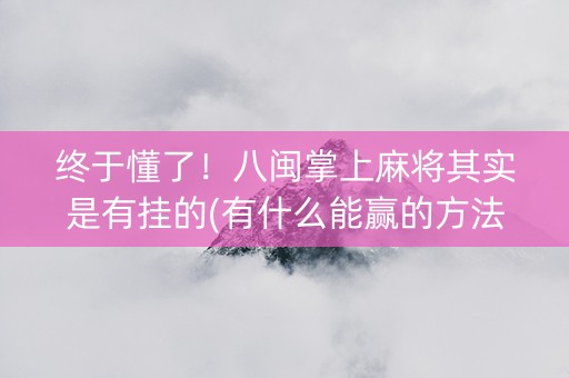 终于懂了！八闽掌上麻将其实是有挂的(有什么能赢的方法)