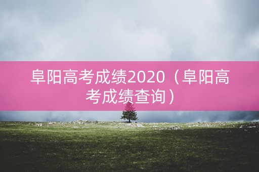 阜阳高考成绩2020（阜阳高考成绩查询）