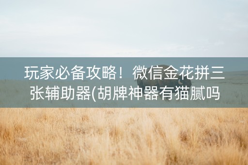 玩家必备攻略！微信金花拼三张辅助器(胡牌神器有猫腻吗)