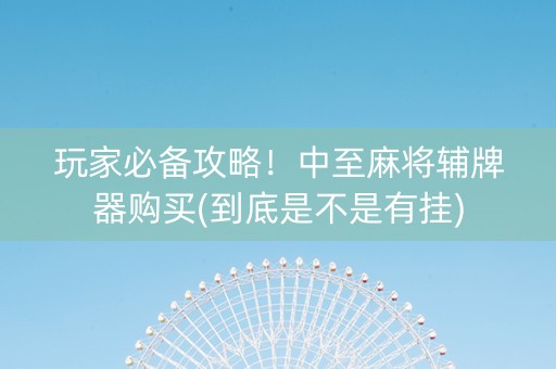 玩家必备攻略！中至麻将辅牌器购买(到底是不是有挂)