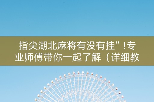 指尖湖北麻将有没有挂”!专业师傅带你一起了解（详细教程）-抖音