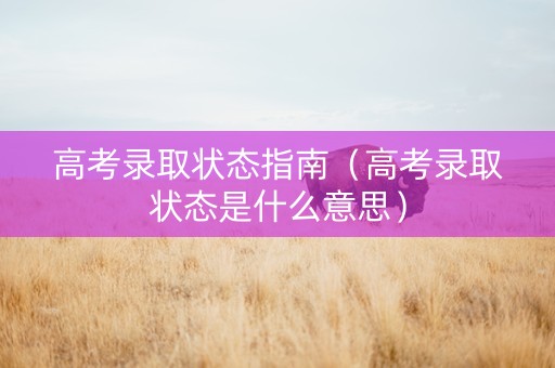 高考录取状态指南（高考录取状态是什么意思）