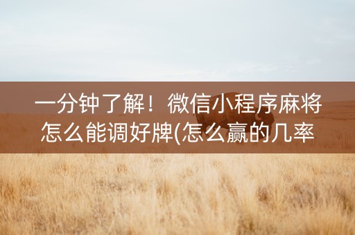 一分钟了解！微信小程序麻将怎么能调好牌(怎么赢的几率大)