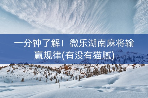 一分钟了解！微乐湖南麻将输赢规律(有没有猫腻)