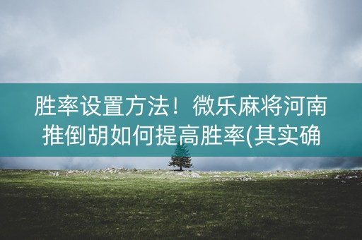 胜率设置方法！微乐麻将河南推倒胡如何提高胜率(其实确实有挂)