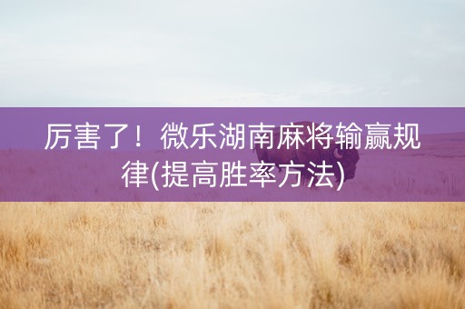 厉害了！微乐湖南麻将输赢规律(提高胜率方法)