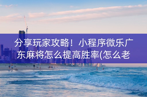分享玩家攻略！小程序微乐广东麻将怎么提高胜率(怎么老输必备神器)