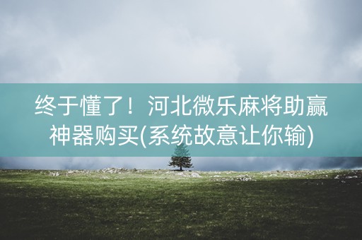 终于懂了！河北微乐麻将助赢神器购买(系统故意让你输)