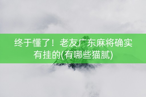 终于懂了！老友广东麻将确实有挂的(有哪些猫腻)