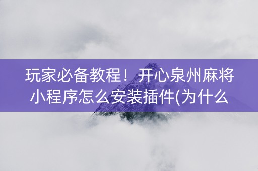 玩家必备教程！开心泉州麻将小程序怎么安装插件(为什么老是输)