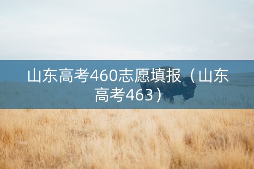 山东高考460志愿填报（山东高考463）