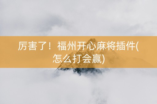 厉害了！福州开心麻将插件(怎么打会赢)