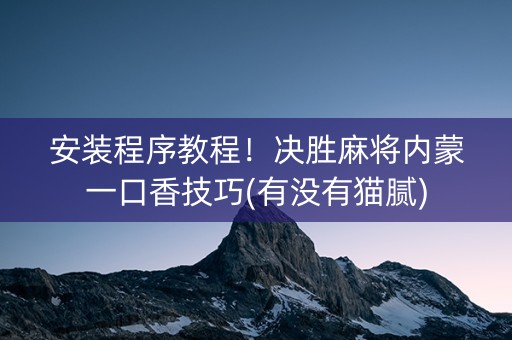 安装程序教程！决胜麻将内蒙一口香技巧(有没有猫腻)