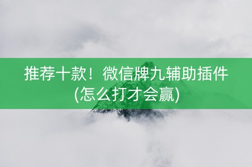 推荐十款！微信牌九辅助插件(怎么打才会赢)