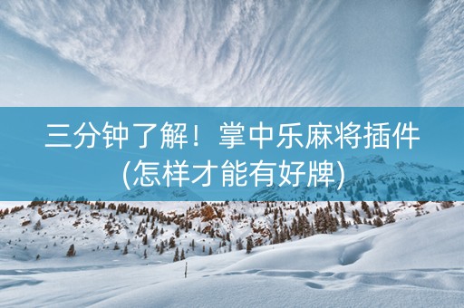 三分钟了解！掌中乐麻将插件(怎样才能有好牌)
