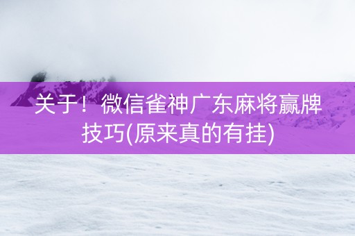 关于！微信雀神广东麻将赢牌技巧(原来真的有挂)