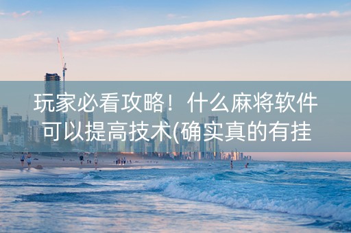 玩家必看攻略！什么麻将软件可以提高技术(确实真的有挂)