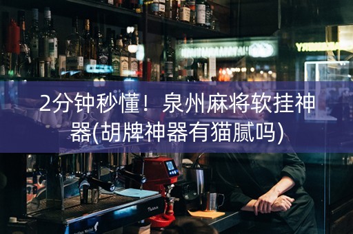 2分钟秒懂！泉州麻将软挂神器(胡牌神器有猫腻吗)