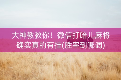 大神教教你！微信打哈儿麻将确实真的有挂(胜率到哪调)