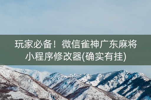 玩家必备！微信雀神广东麻将小程序修改器(确实有挂)