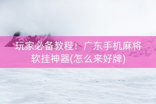 玩家必备教程！广东手机麻将软挂神器(怎么来好牌)