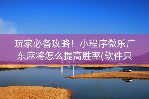 玩家必备攻略！小程序微乐广东麻将怎么提高胜率(软件只赢不输)