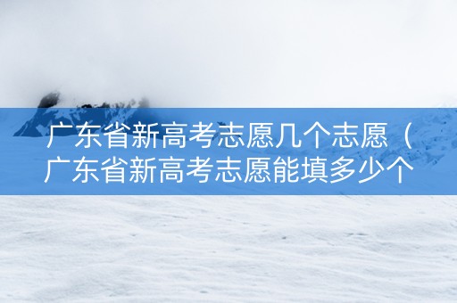 广东省新高考志愿几个志愿（广东省新高考志愿能填多少个）