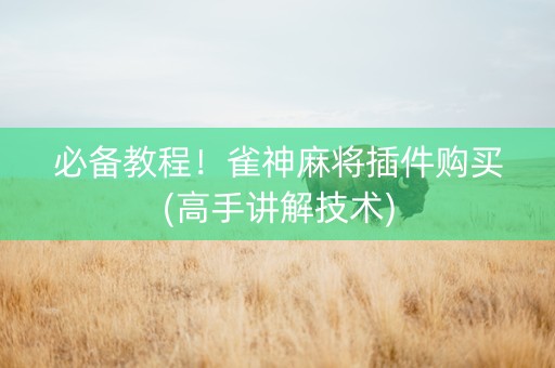 必备教程！雀神麻将插件购买(高手讲解技术)