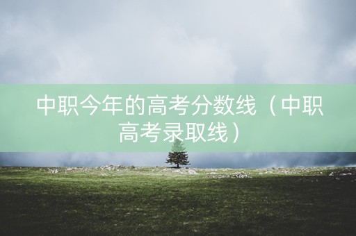 中职今年的高考分数线（中职高考录取线）