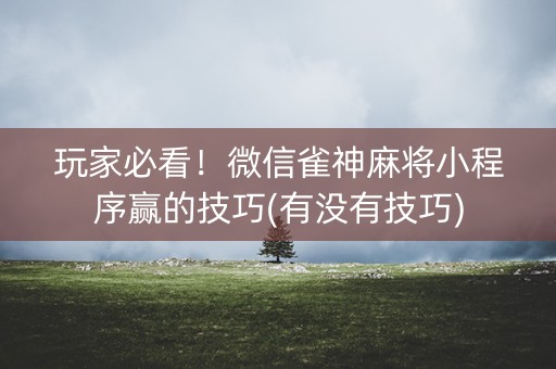 玩家必看！微信雀神麻将小程序赢的技巧(有没有技巧)