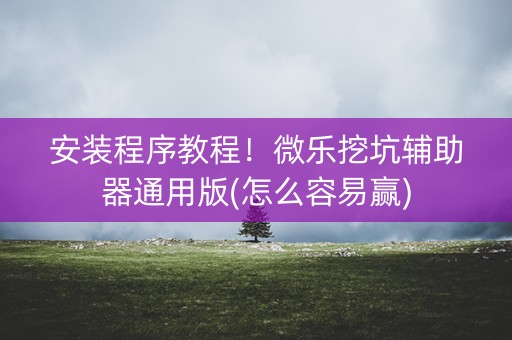 安装程序教程！微乐挖坑辅助器通用版(怎么容易赢)