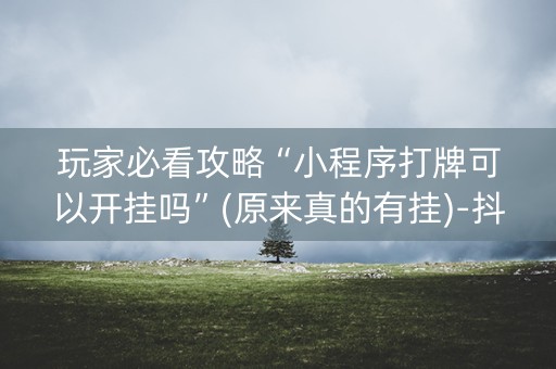 玩家必看攻略“小程序打牌可以开挂吗”(原来真的有挂)-抖音