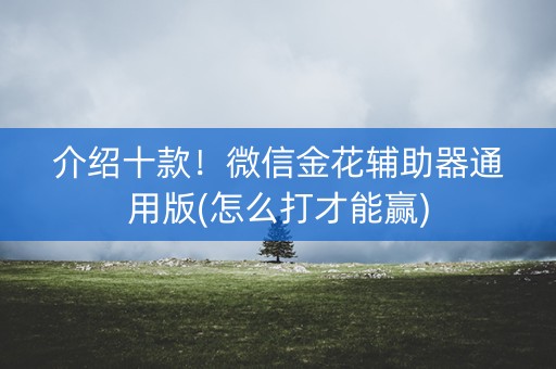 介绍十款！微信金花辅助器通用版(怎么打才能赢)
