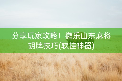 分享玩家攻略！微乐山东麻将胡牌技巧(软挂神器)
