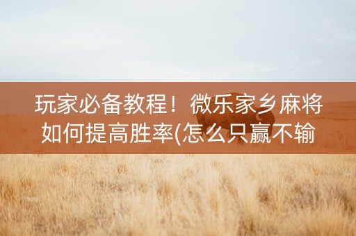 玩家必备教程！微乐家乡麻将如何提高胜率(怎么只赢不输)