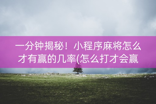 一分钟揭秘！小程序麻将怎么才有赢的几率(怎么打才会赢)