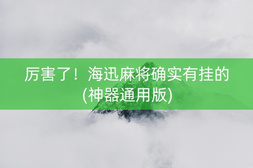 厉害了！海迅麻将确实有挂的(神器通用版)