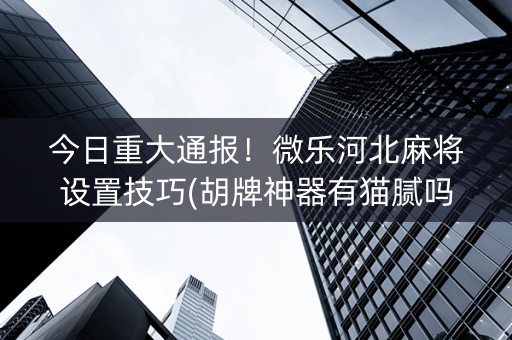 今日重大通报！微乐河北麻将设置技巧(胡牌神器有猫腻吗)