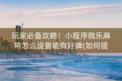 玩家必备攻略！小程序微乐麻将怎么设置能有好牌(如何提高胡牌率)