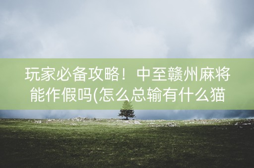 玩家必备攻略！中至赣州麻将能作假吗(怎么总输有什么猫腻)