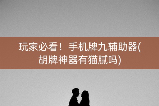 玩家必看！手机牌九辅助器(胡牌神器有猫腻吗)
