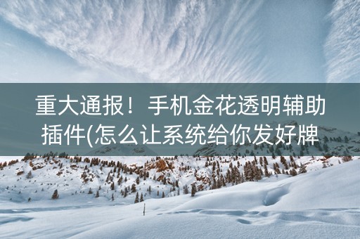 重大通报！手机金花透明辅助插件(怎么让系统给你发好牌)