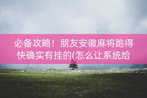 必备攻略！朋友安徽麻将跑得快确实有挂的(怎么让系统给你发好牌)