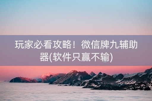 玩家必看攻略！微信牌九辅助器(软件只赢不输)