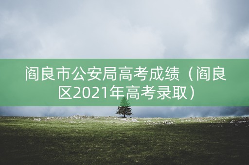 阎良市公安局高考成绩（阎良区2021年高考录取）
